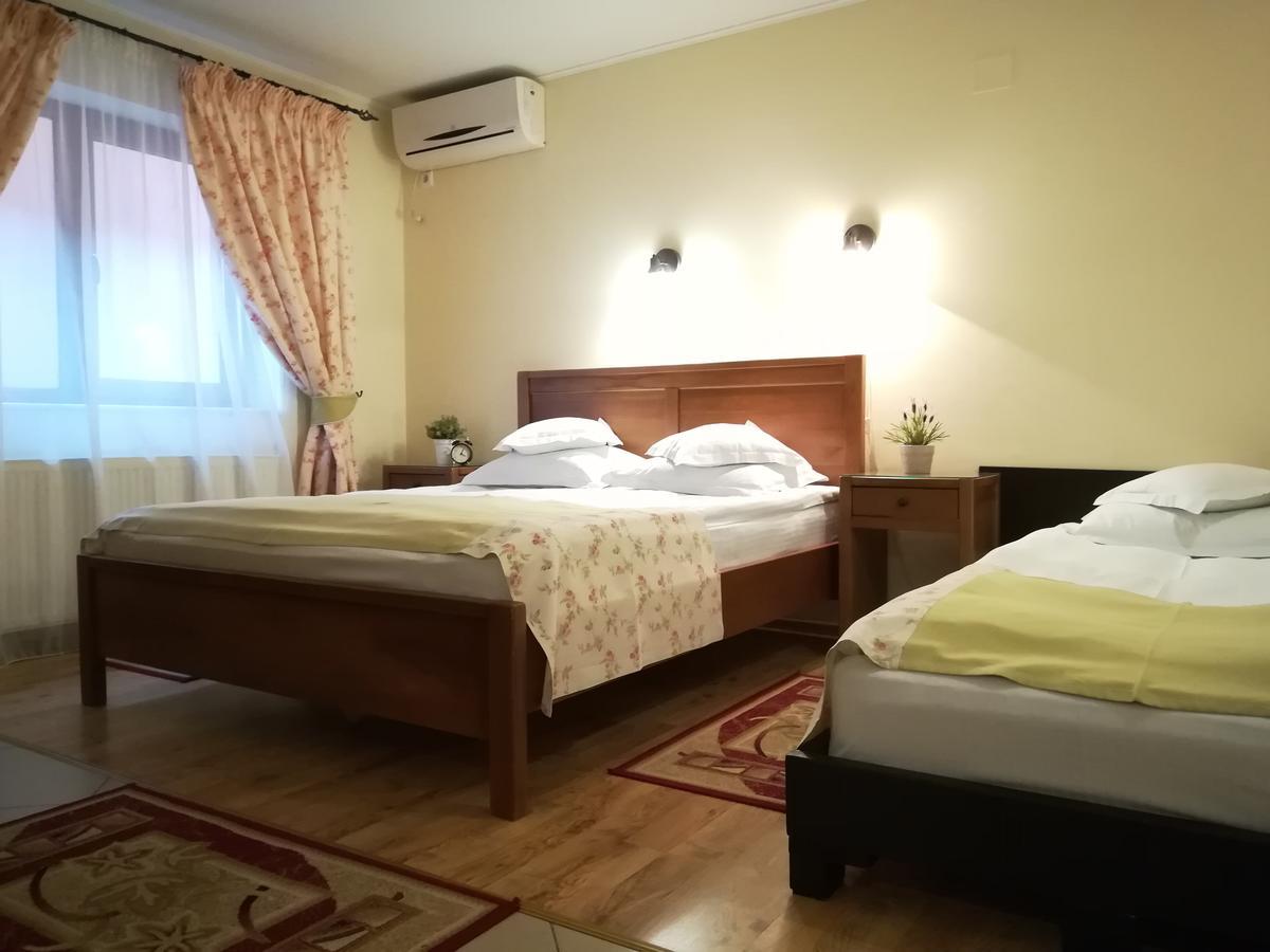 Vila Toparceanu - Therme & Airport 오토페니 외부 사진