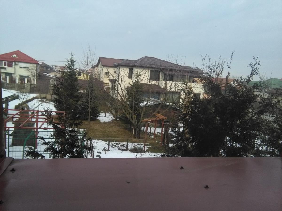 Vila Toparceanu - Therme & Airport 오토페니 객실 사진